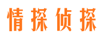 廉江市调查公司